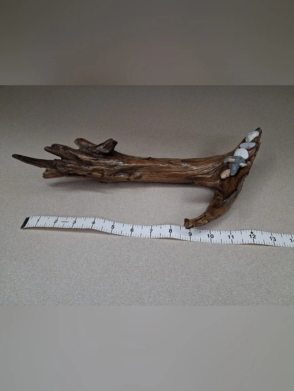Driftwood Sculpture with Shell Accents